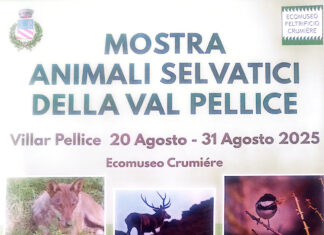 MOSTRA FOTOGRAFICA: ANIMALI SELVATICI della VAL PELLICE